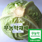 [����� �޾����]6kg/��������