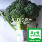 ��������ø�1��(��200g����)(�ܿ�ö�̶� ũ�� ū��)