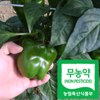 ����� �Ǹ�150g�̻�/���������̻�