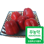 [ģȯ�����]������ī2kg(����)(250g���� ��8������)