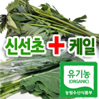 ����� ��ż���2kg + ����� ������2kg(100%��������� ���)