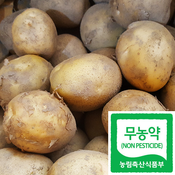 ������ް���10kg(�����ѻ�����(���)/�ް���(��,�丮 �� ��ñ� �� ������)