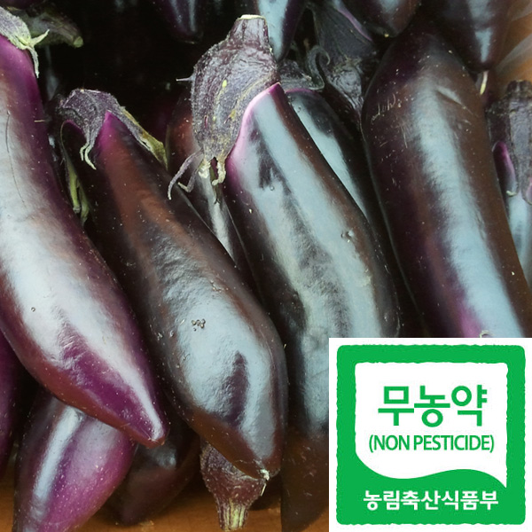 [�����]����1kg/���������