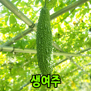 (������������)[���ŷ�]������ ����5kg(��Ÿ���� Ȳ����)(�߼���:7��15������ ù�߼�)(Ÿ��ǰ�����Ұ�)