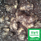 ��������� ����500g(100%ģȯ������)