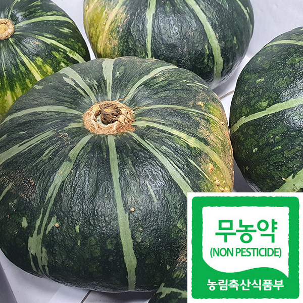 ����� ��ȣ�� 3kg(2~4��)/����° �弼��(�丮��/����/ȣ���׿�)(�����ĵ弼��)