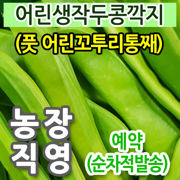 ���۵��� �������